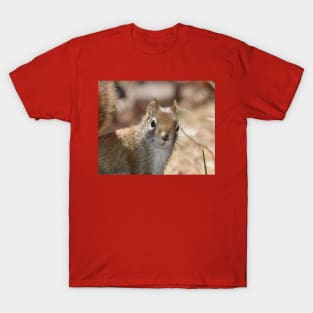 Squrrel Face T-Shirt